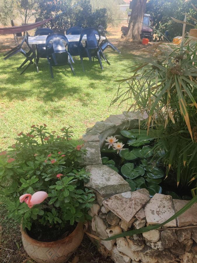 Chez Rothman Sublet Shadmot Devora Exterior photo